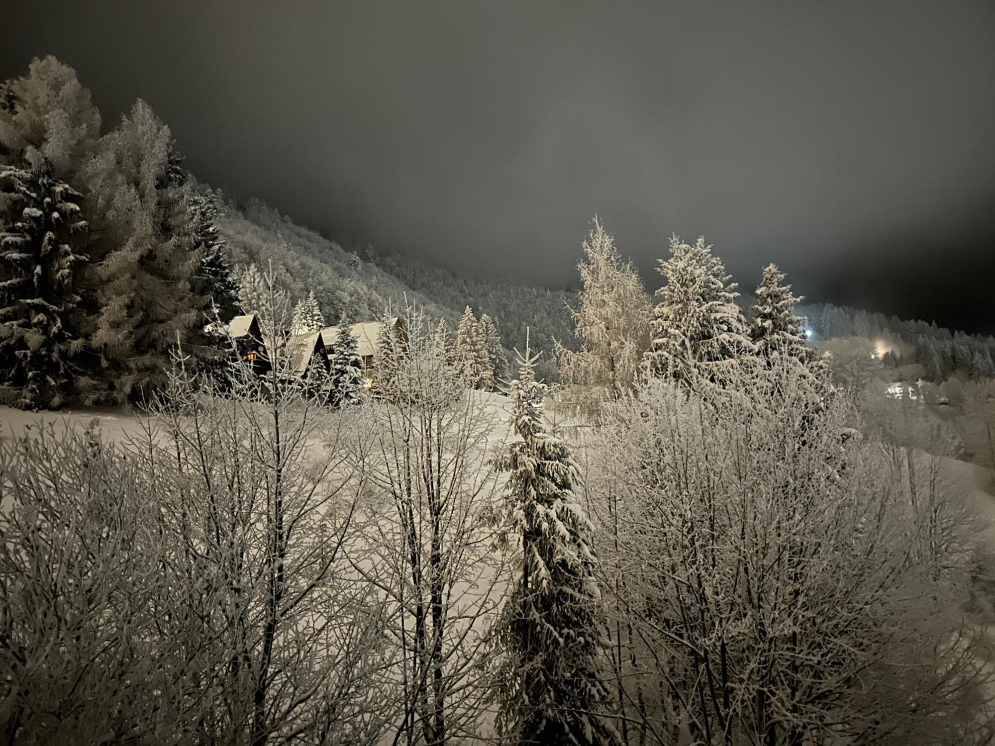 Apartman Forest View Donovaly Eksteriør billede