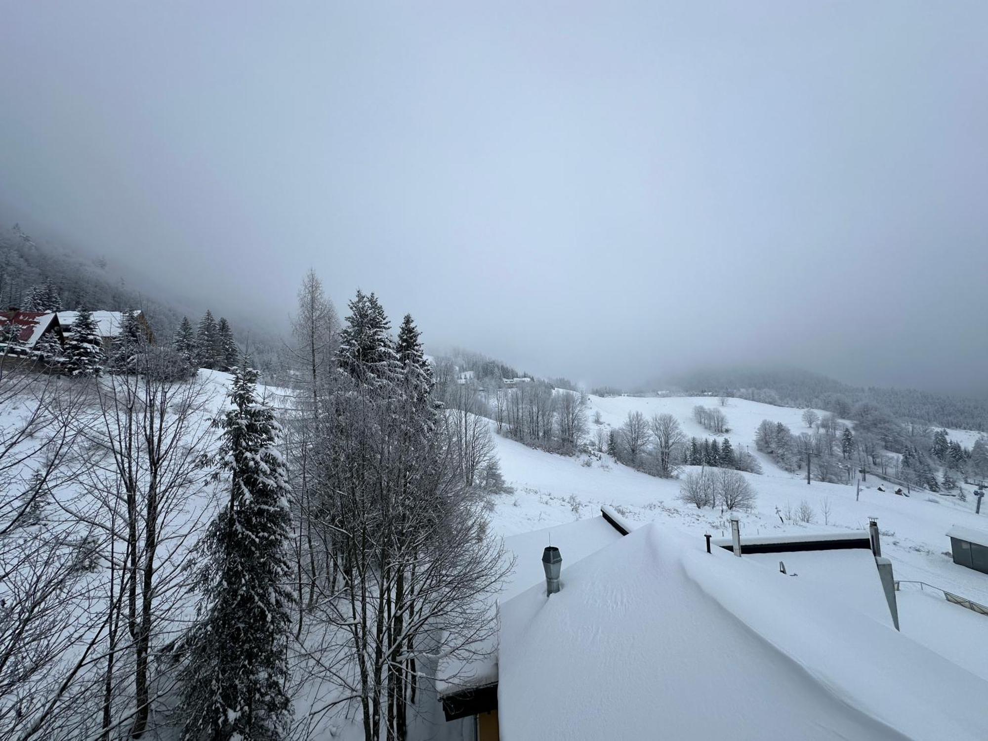 Apartman Forest View Donovaly Eksteriør billede
